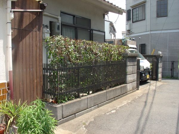 レッドロビン生垣作業後