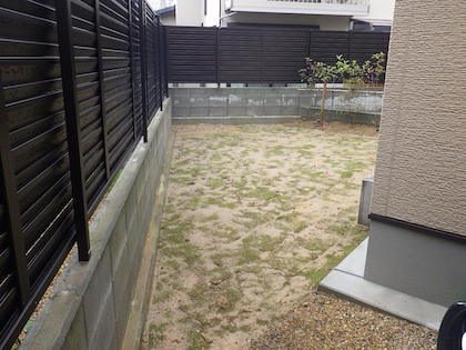 芝張り後