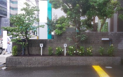 植え替え後