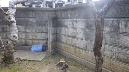 切り株