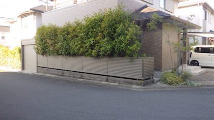 剪定前の生垣
