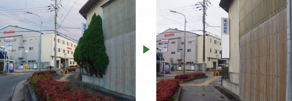 会社の看板に重なったコノテガシワを伐採した事例│大阪府寝屋川市K株式会社様