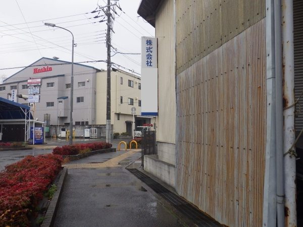 K株式会社伐採後