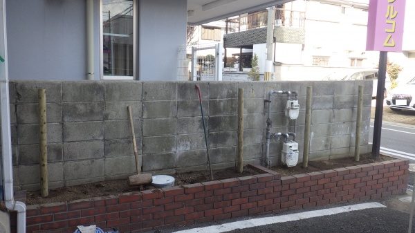 生垣　植栽中