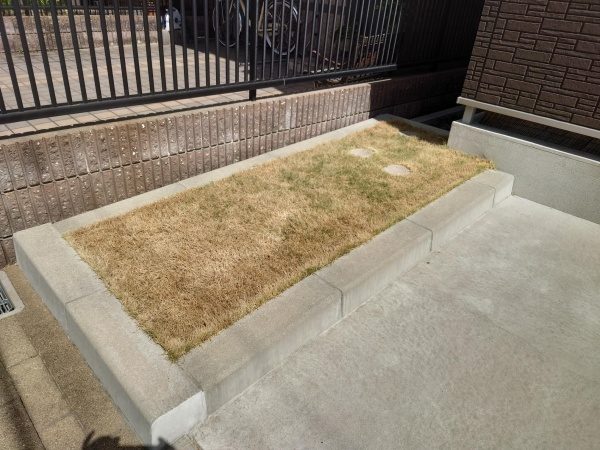 マンションの駐車場横の芝生を平らに刈り直した芝刈り事例｜大阪市生野区A様（作業後）