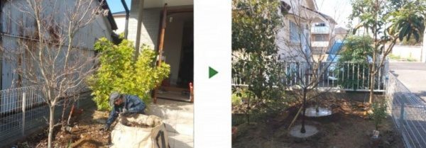 玄関先の梅・ハナミズキの植木を裏庭へ移植した事例　大阪市旭区