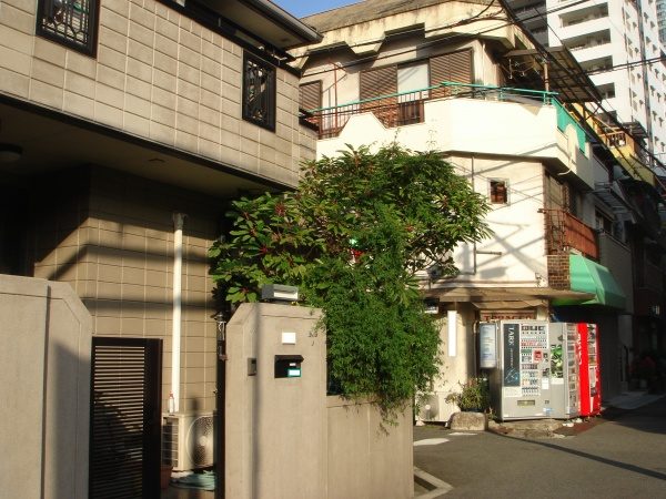 奈良市植木剪定作業前2