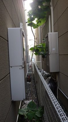 作業前の桐