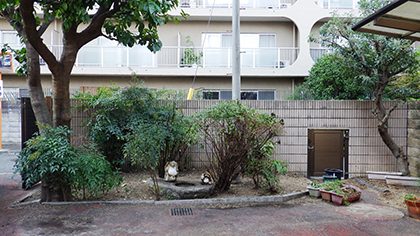 作業後