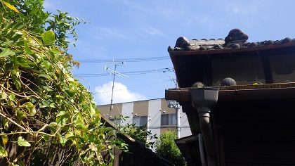撤去作業後