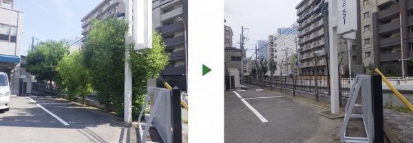 駐車場の12本のシラカシ(4m)を剪定│車や歩行者の邪魔にならないように　大阪市淀川区