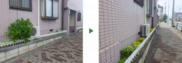 マンションの植え込みにアべリアとアセビを植栽│育てやすく鮮やかな品種をご提案　大阪市東淀川区