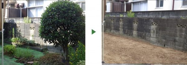 キンモクセイとサザンカの伐採と人工芝の撤去　京都府宇治市
