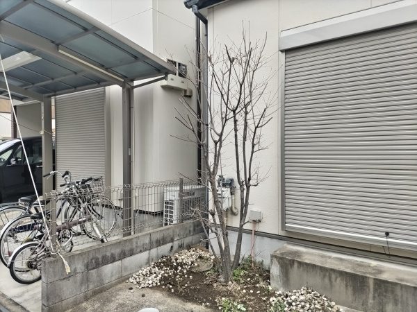 玄関先にある株立ちのヤマボウシを大阪から千葉に移植した事例│千葉県船橋市K様
