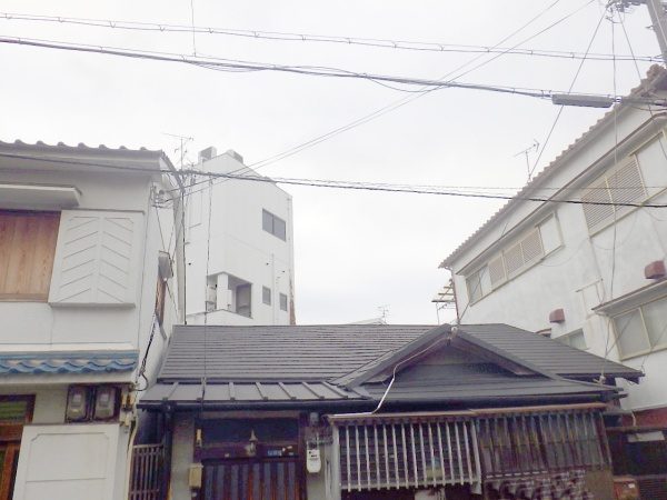 4畳半程の狭いスペースにある高さ13mのクスノキを伐採した事例│大阪市旭区K様