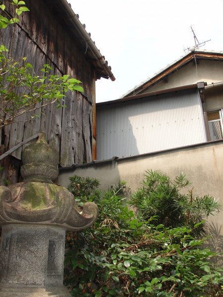 伐採