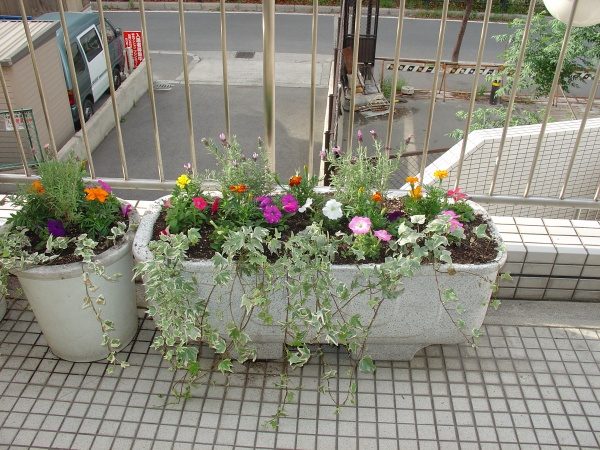 DSC00293