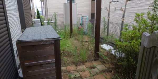 豊中市の除草&s除草剤散布の事例 施術前