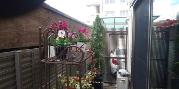 エメラルドやストックを植栽した事例 作業後