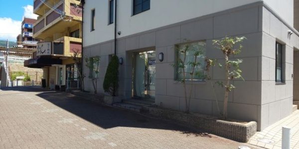 大阪市淀川区 シマトネリコの選定 作業後