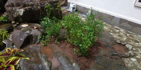 大阪市鶴見区の事例　作業後