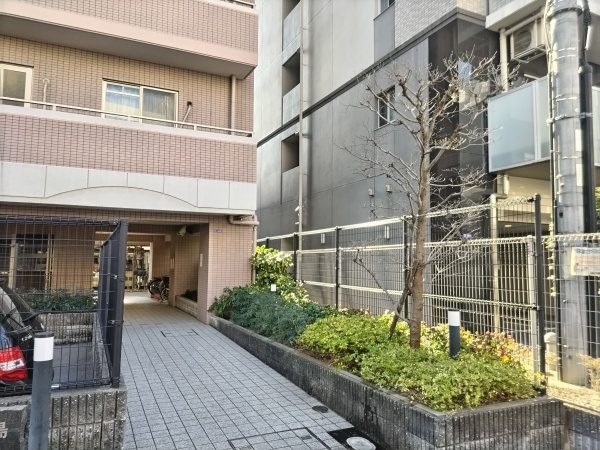 マンションエントランスにあるオタフクナンテン、アベリア、隣の敷地まで枝が伸びたハナミズキを剪定した事例│大阪市大正区 Tマンション様