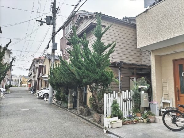伸び放題になっていたカイヅカイブキの生垣を剪定した事例｜大阪市西淀川区K様（作業前）