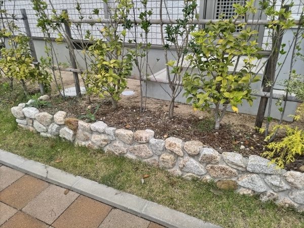 植木の水やりを楽にするために立水栓に散水コントローラーを設置した事例｜大阪市住吉区H様（作業前）