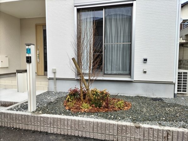 道路から室内が見えないようにヒメシャラ・オタフクナンテン・アベリアホープレイズを植栽した事例｜大阪市鶴見区M様（作業後）