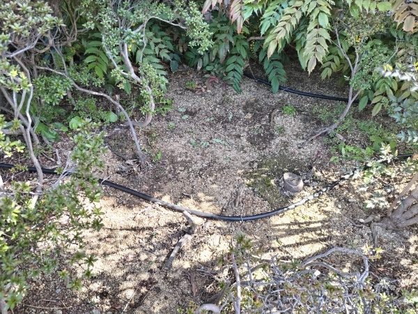 4ヵ所の散水栓に100mの散水ホースを設置した事例｜大阪府堺市北区Mマンション様（施工後２）
