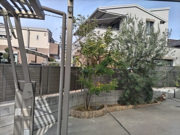 根が塀の外側まで伸びてしまっていたシマトネリコを伐採・抜根した事例|大阪市平野区T様(作業前)
