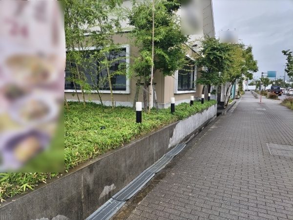店舗のオープン時間までに玄関前の笹の剪定作業を実施した事例｜大阪市城東区T様（作業後）