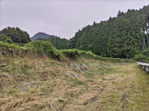 ソーラーパネルが設置されている敷地1000㎡の草刈り作業を2人1日で実施した事例|奈良県生駒市T様(作業後)