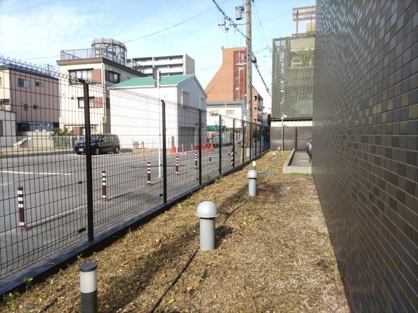 マンション植栽エリアの低木伐採(約100本)を2人1日で実施した事例|大阪市淀川区Tマンション様(作業後)