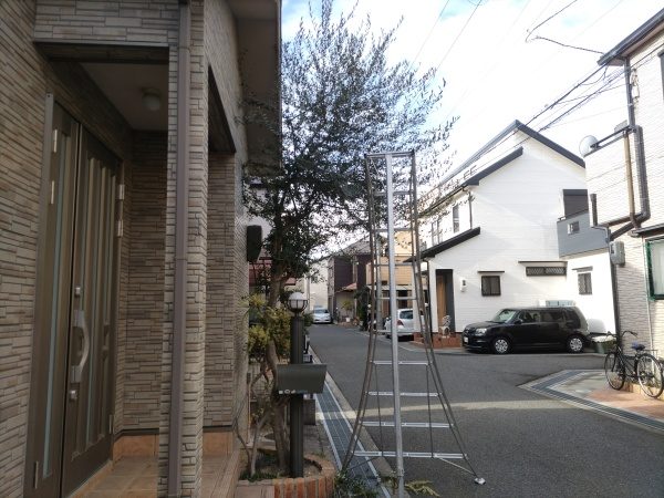 一戸建て玄関前の高さ4mのオリーブを1人2時間で剪定した事例|大阪府大阪市生野区T様(作業前)