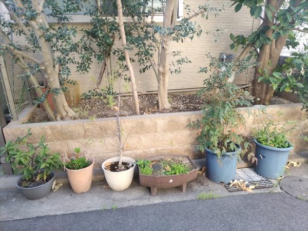 家の前の花壇・植木鉢への「散水ホース取付」を1人3時間で実施した事例｜大阪府大阪市鶴見区K様（作業前）