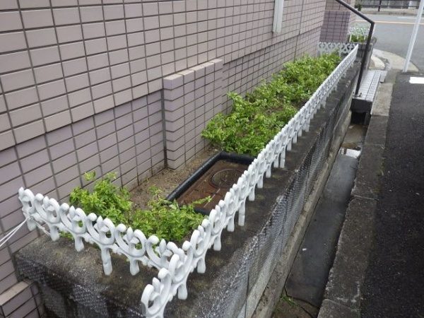 アベリアホープレイズを植栽した事例 作業後