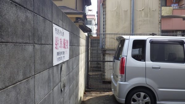 庭木伐採