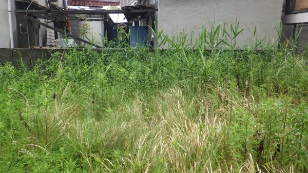 雑草対策（防草シート工事）｜空き地の雑草対策で防草シート施工　大阪府高槻市
