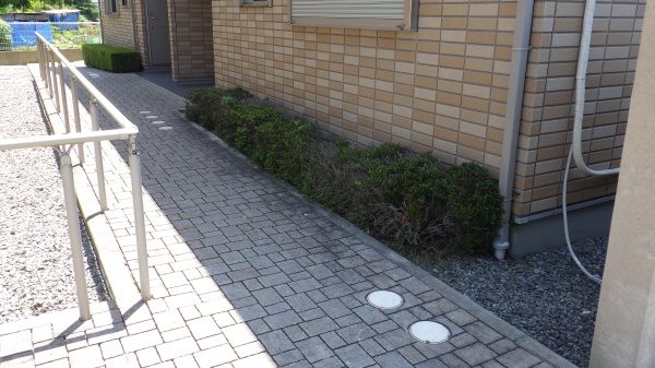 枯れてきた庭木の植え替え｜管理のしやすい庭木に植え替え　大阪府大阪市西区