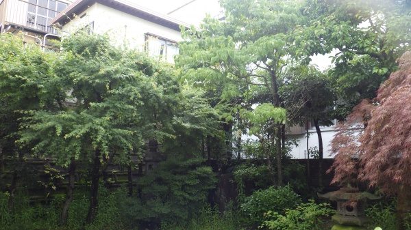 近隣の迷惑にならないように庭木の剪定｜日が当たるように明るく庭木を剪定　大阪府大阪市北区