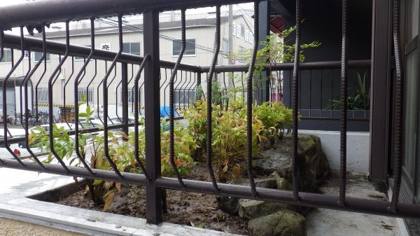庭手入れ