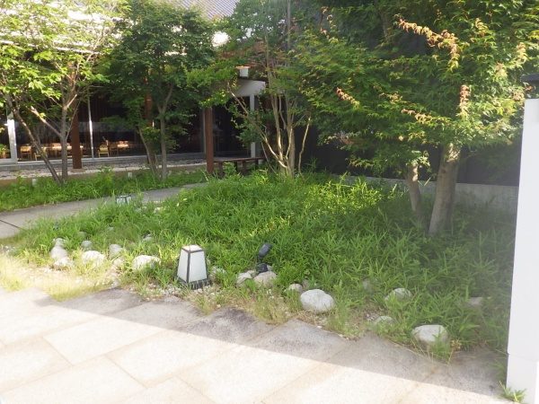 店舗のオープン時間までに植え込みの雑草除去と笹の剪定を実施した事例｜大阪市都島区Y様（施工前）
