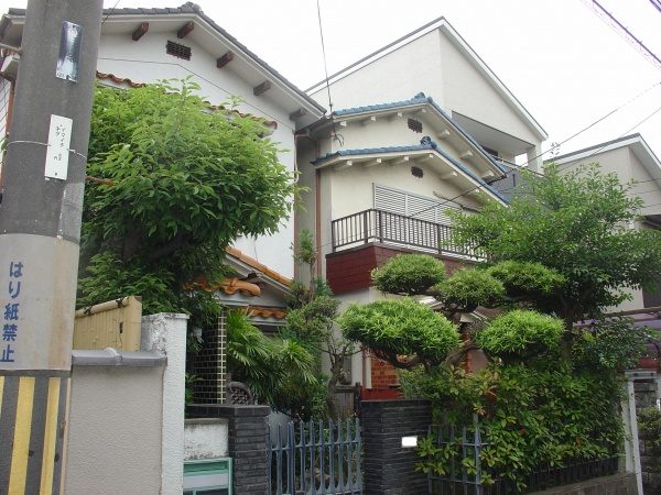 植木剪定作業前