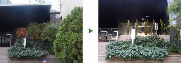 会社玄関の枯れた植木を撤去しスタイリッシュに仕上げた事例　大阪市淀川区