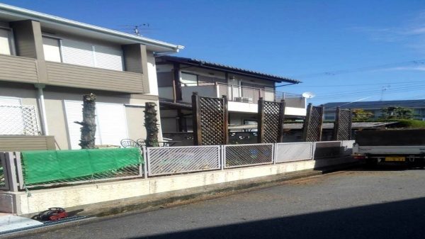 カイズカイブキ剪定中