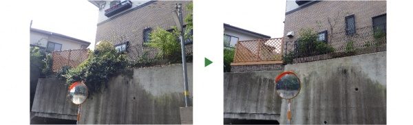 外壁にへばりついたツタの除去　奈良県奈良市