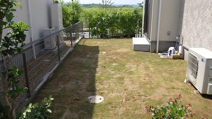 芝張り後