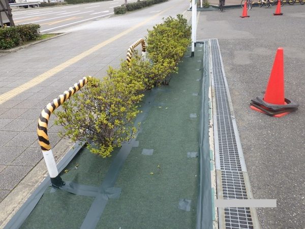 剥がれてきてしまった防草シートの張替えを実施した事例｜大阪市住吉区T株式会社様（作業後）