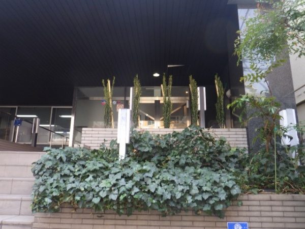 ペンシルロッケットの植木を会社の玄関口に植えた事例写真　施工後